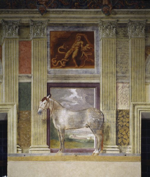 Giulio Romano, Pferd der Gonzaga from 