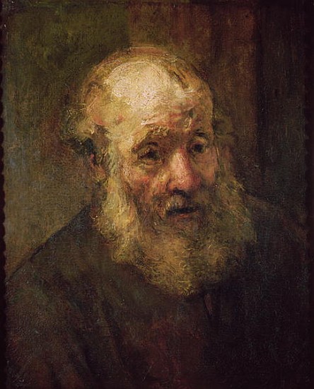 Head of an Old Man, c.1650 from 