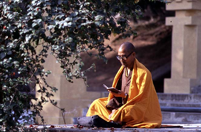 Monk at prayer at Bodhi Temple (photo)  from 