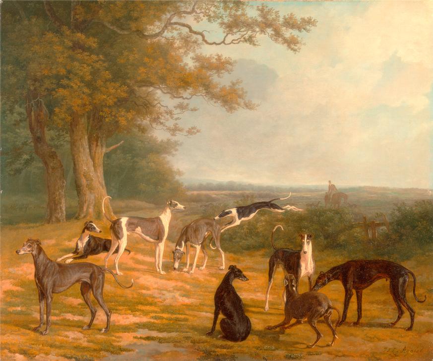 Nine Greyhounds in a Landscape Signed from 