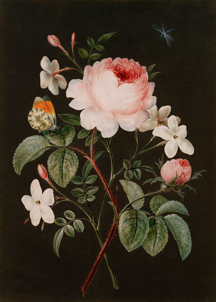 Rose and jasmine flower arrangement from 