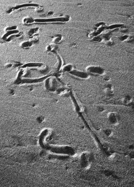 Sand surface, Porbandar II (b/w photo)  from 