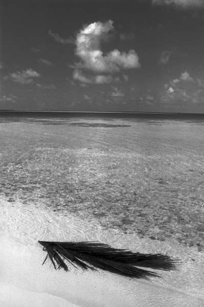 Sea view (b/w photo)  from 