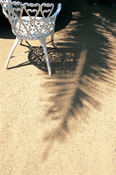 Shadow of coconut leaf straight below wrought-iron chair (photo)  from 