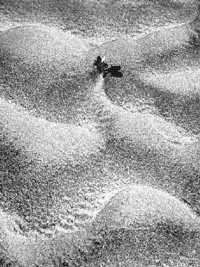 Sand pattern (b/w photo) 