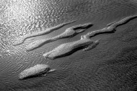 Sea and sand, Porbandar II (b/w photo) 