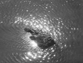 Stone in sea water, Porbandar (b/w photo) 