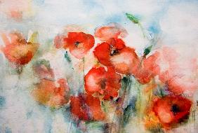 Corn poppy watercolor