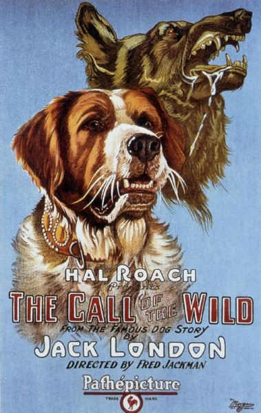 The call of the wild de FredJackman from 