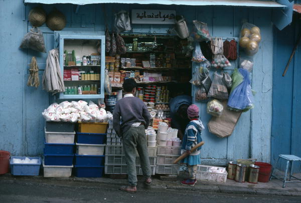 The grocer's shop (photo)  from 