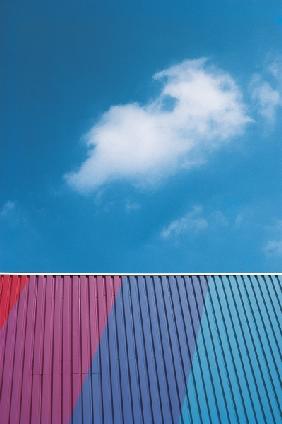 Unusual multi-coloured roof (photo) 