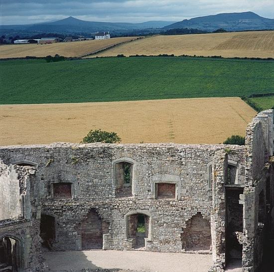 View from the Keep, Raglan Castle from 