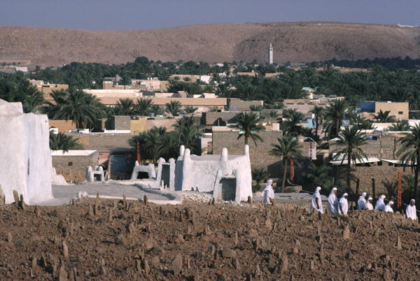 View of the cemetery on the western side of the city (photo)  from 