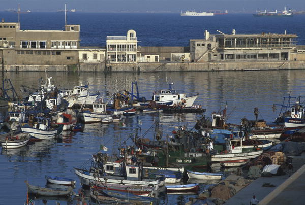 View of the port (photo)  from 