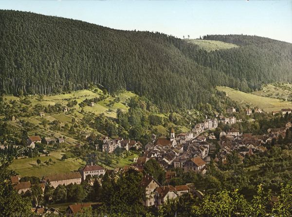 Wildbad, Town view from 