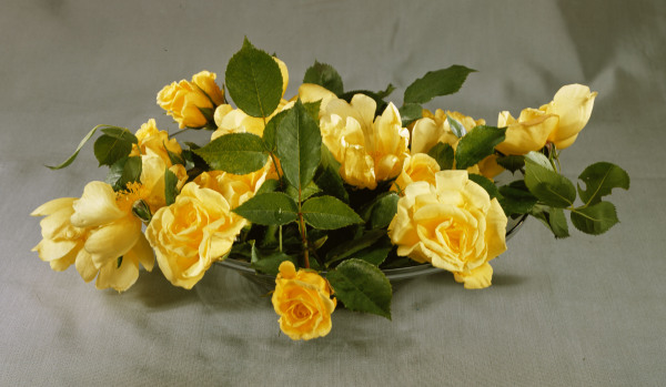Yellow roses in a vase / Photo from 
