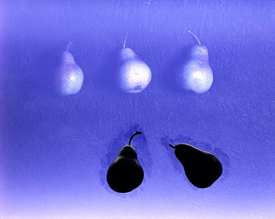 Blue Pears (after Wm. Scott) 2005 (colour photo)  from Norman  Hollands