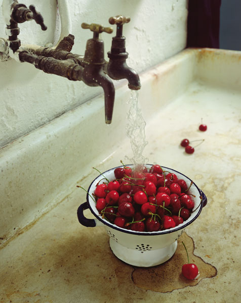 Washing cherries, 1988 (colour photo)  from Norman  Hollands