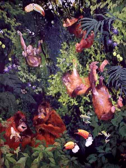 Orangutangs and Toucans, 1998 (inks, acrylics and pencil crayon on canvas)  from Odile  Kidd