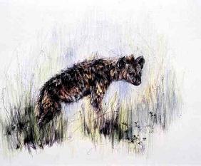 Baby Hyena, 1995 (pen, pencil and crayon on paper) 