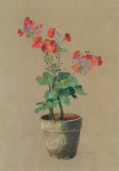 Geraniums in a pot (pastel) from Odilon Redon