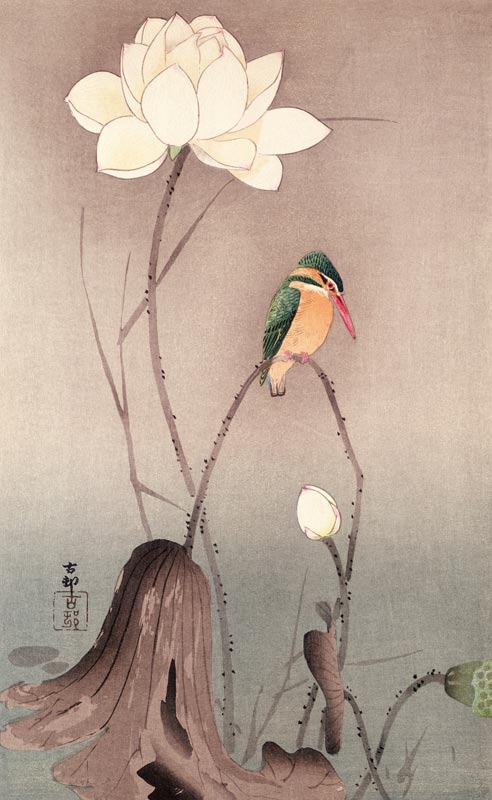 A Kingfisher and a lotus from Ohara Shôson