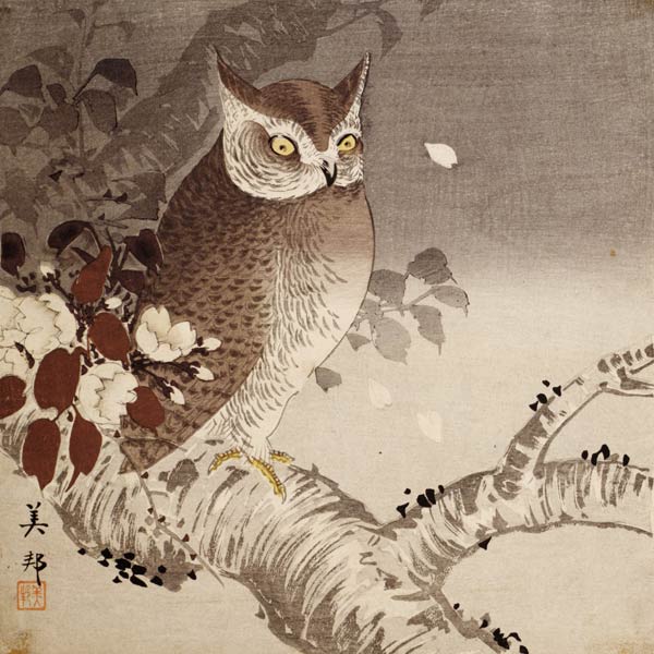 An owl on a tree branch, (colour woodblock print) from Ohara Shôson