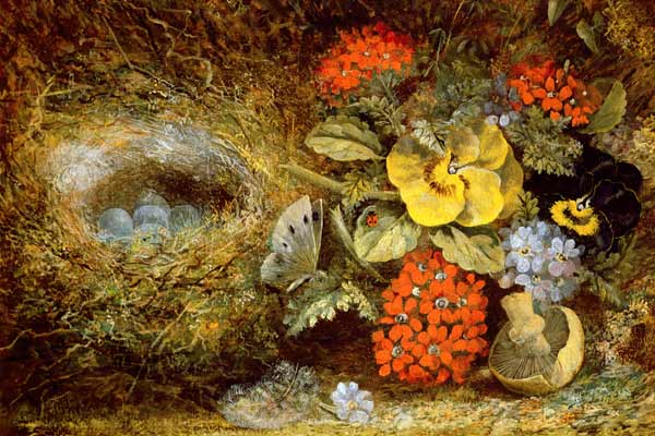Flowers and Bird's Nest with Butterfly and Mushroom from Oliver Clare