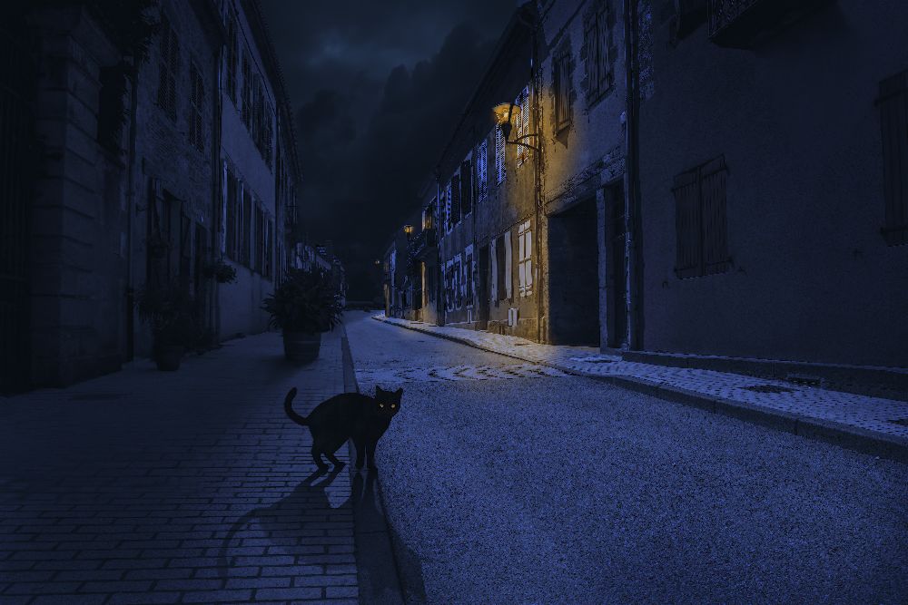 Le Chat Noir from Omar Brunt
