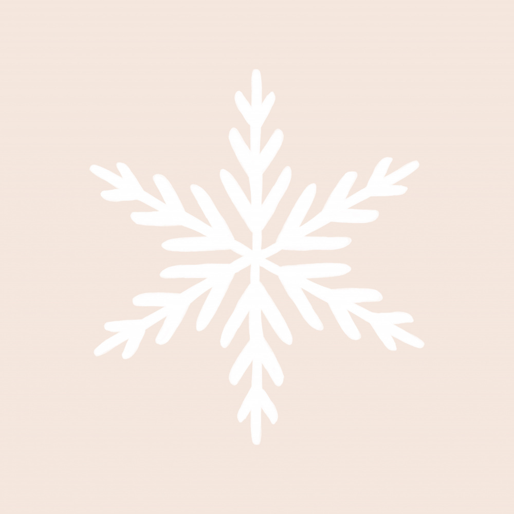 Snowflake from Orara Studio