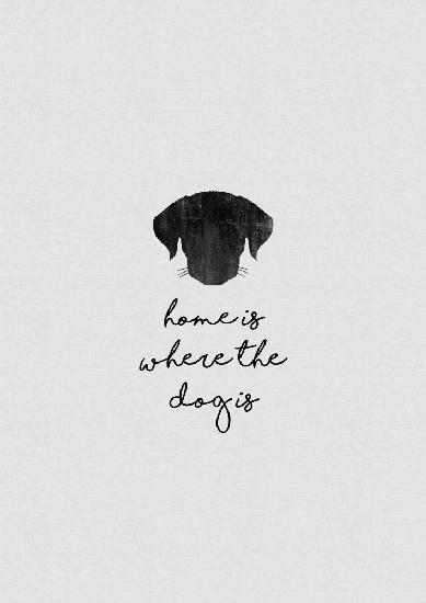 Home Is Where the Dog Is