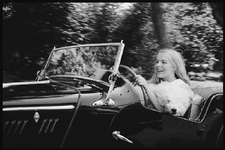 Janet Landgard driving with dog