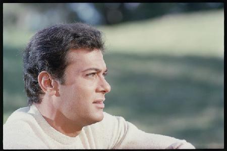 Tony Curtis portrait