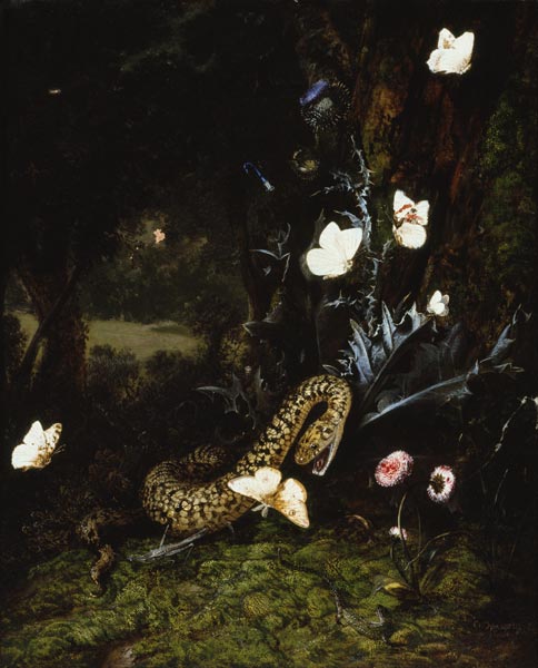 Grashüpfer, Schlange und Schmetterlinge bei einer Distel from Otto Marseus van Schrieck