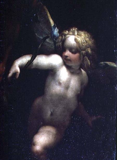 The Martyrdom of SS. Rufina and Seconda, known as the 'three-handed picture', detail of an angel, pa from P. Crespi