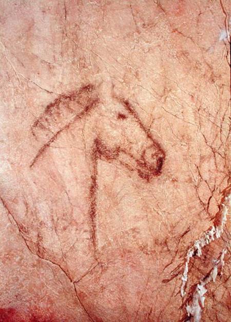 Head of a Horse, from the Cueva de la Pena de Candamo San Roman from Paleolithic