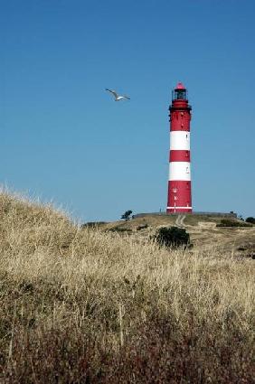 Leuchtturm Amrum