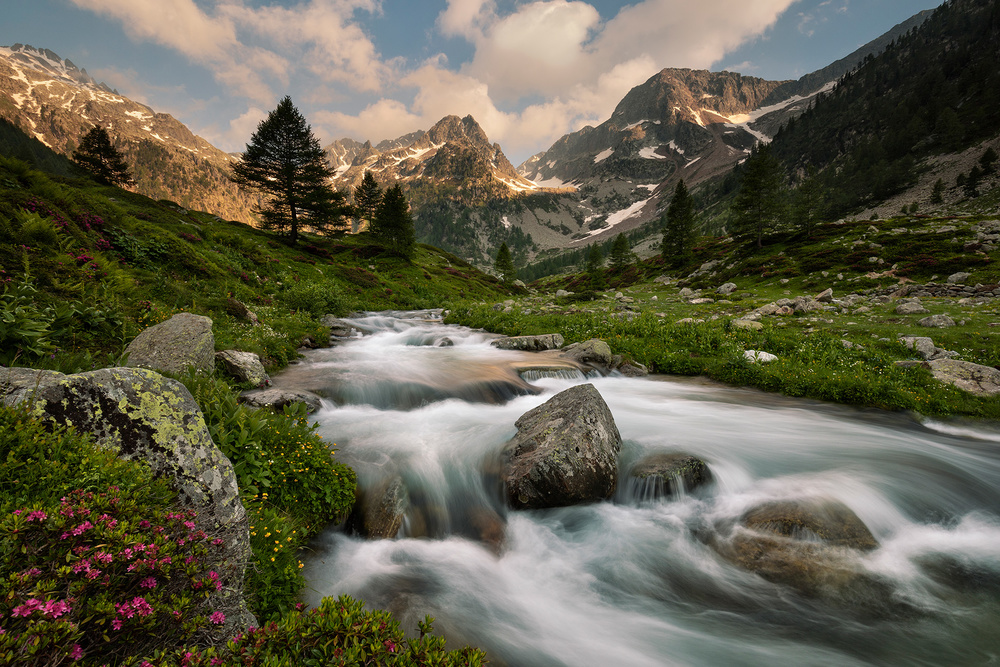 Maritime Alps Park from Paolo Bolla