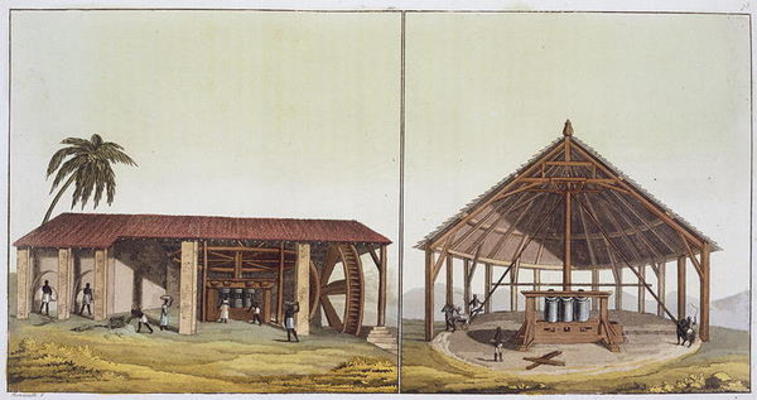 Slaves at work in the sugarmills, Antilles (colour engraving) from Paolo Fumagalli