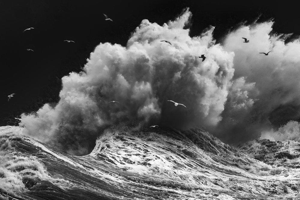 BIRDS IN THE STORM (Part 1) from Paolo Lazzarotti