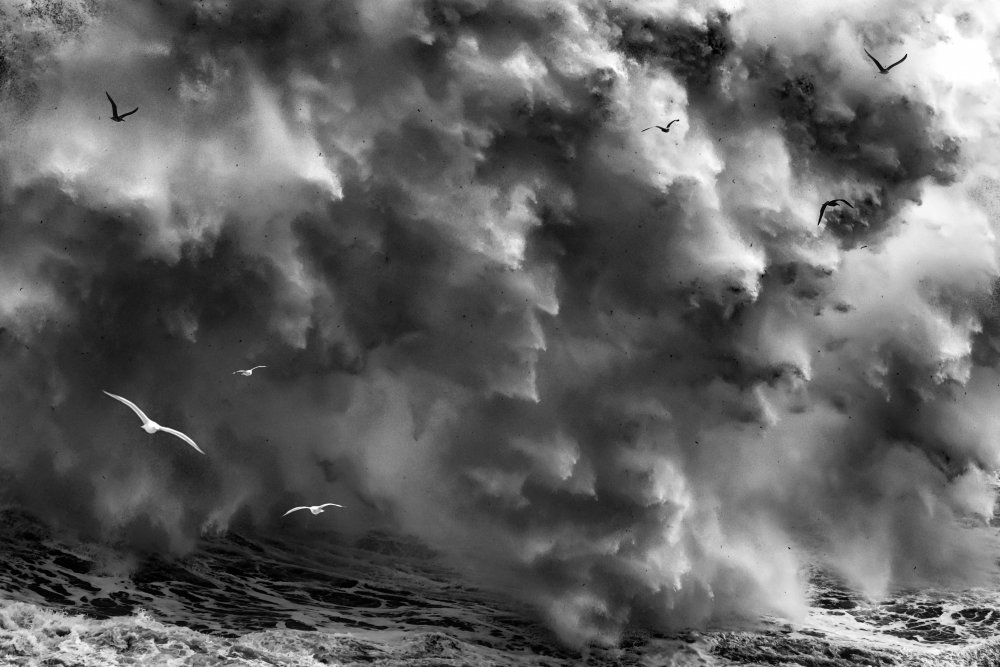 BIRDS IN THE STORM (Part 2) from Paolo Lazzarotti