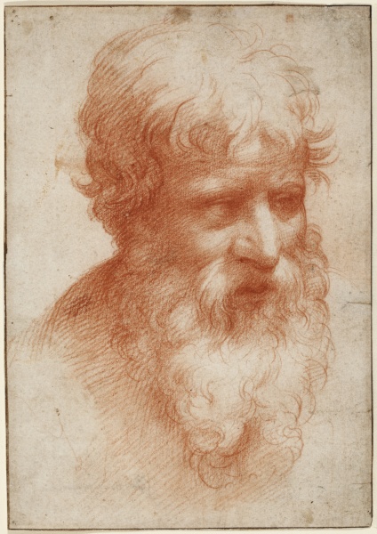 Head of a Bearded Man, looking right from Parmigianino