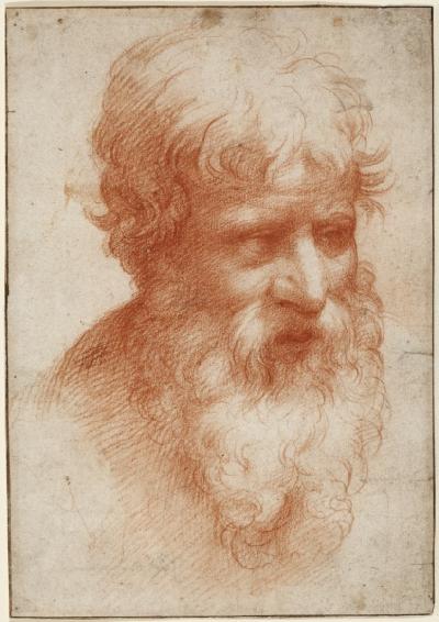 Head of a Bearded Man, looking right