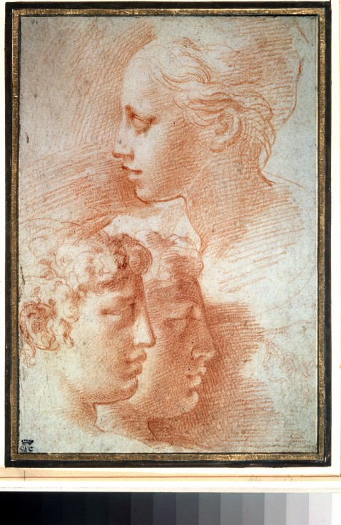 Study of the heads from Parmigianino
