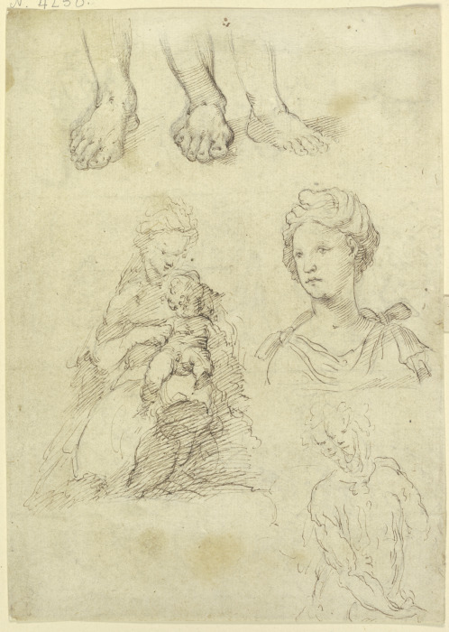 Studienblatt: Madonna, drei Füße, ein weibliches Brustbild from Parmigianino