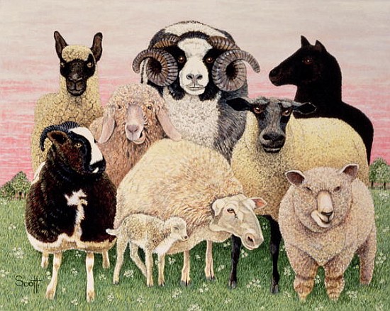 Shepherds Delight  from Pat  Scott