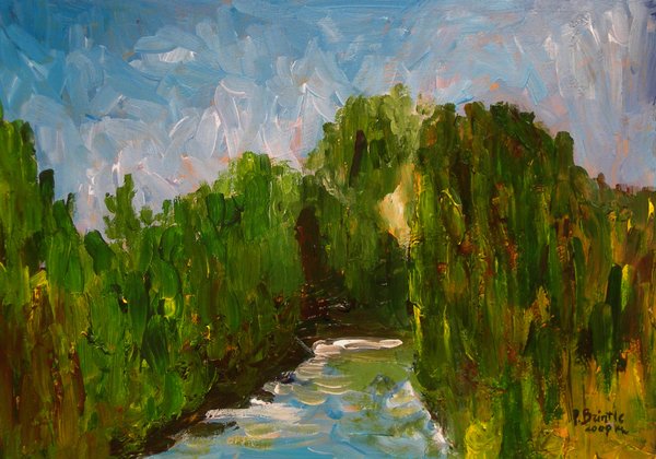 Winding river from Patricia  Brintle