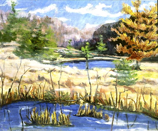 Beaver Swamp from  Patricia  Eyre