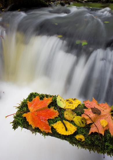 Herbstfeature in Märkisch-Oderland from Patrick Pleul