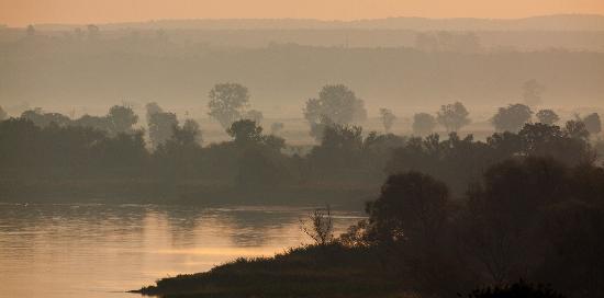 Morning fog on the Oder  from Patrick Pleul